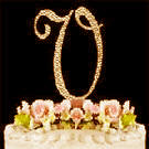 Rhinestone Monogram V